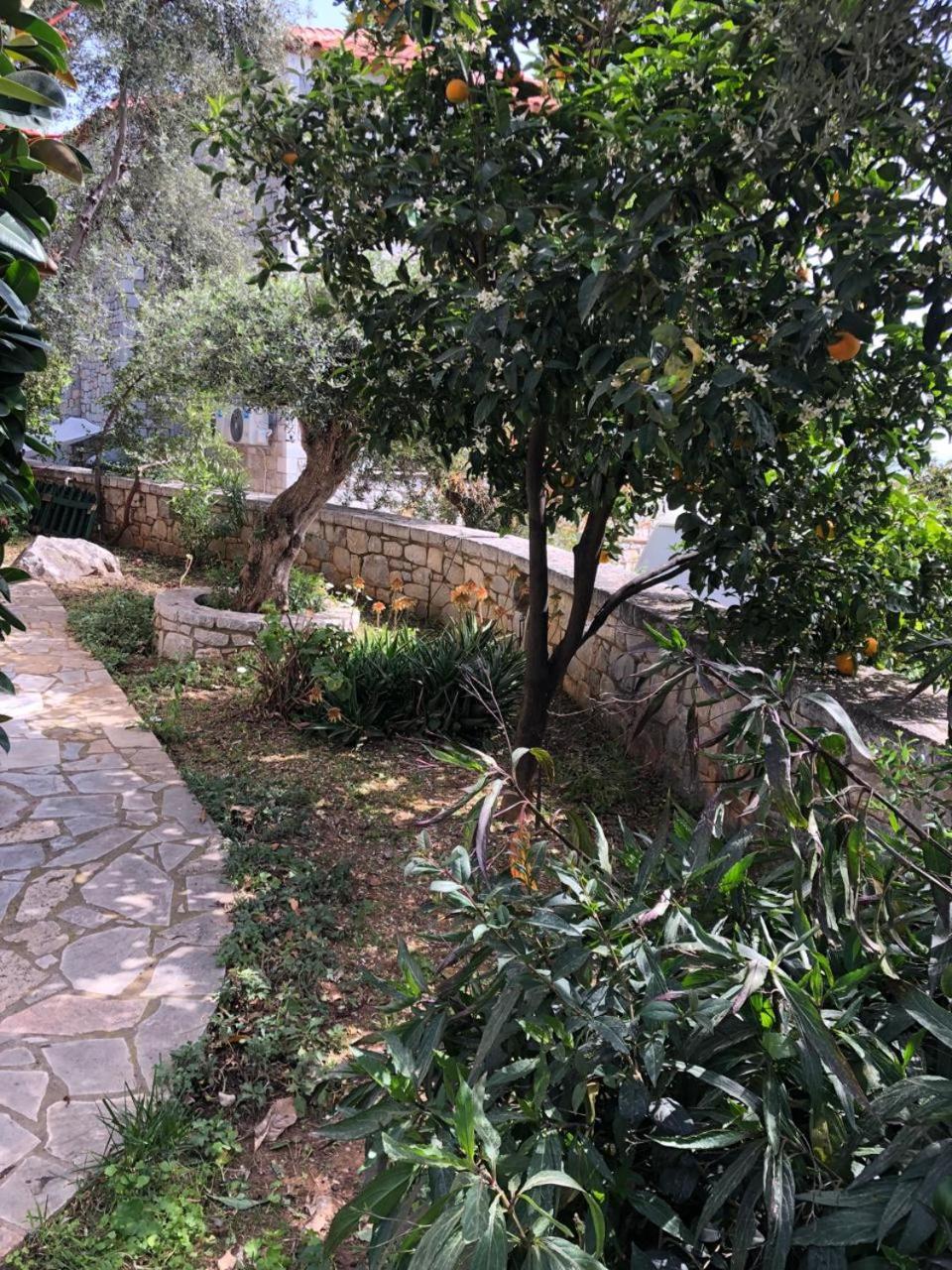 Villa Amanda Neokhorion  Buitenkant foto